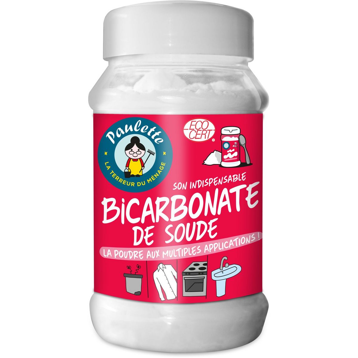 PAULETTE Bicarbonate de soude ménager en poudre 500g pas cher