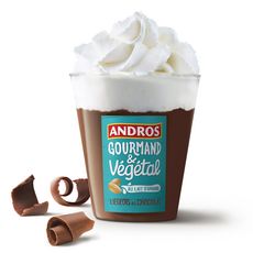 ANDROS Gourmand & Végétal -Liégeois au lait d'amande et au chocolat 4x90g