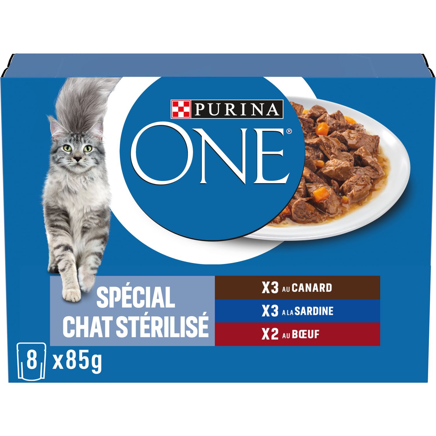 Purina ONE® Chat - Croquettes et sachets haute nutrition pour chat