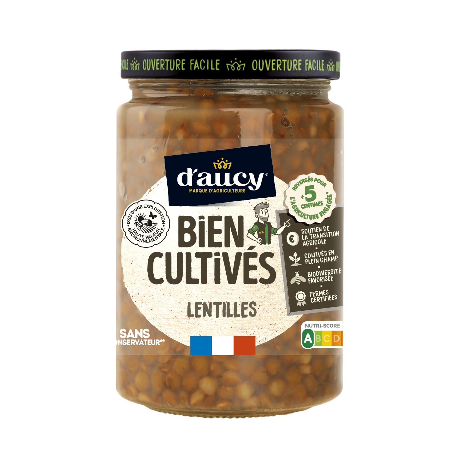 Lentilles - d'aucy