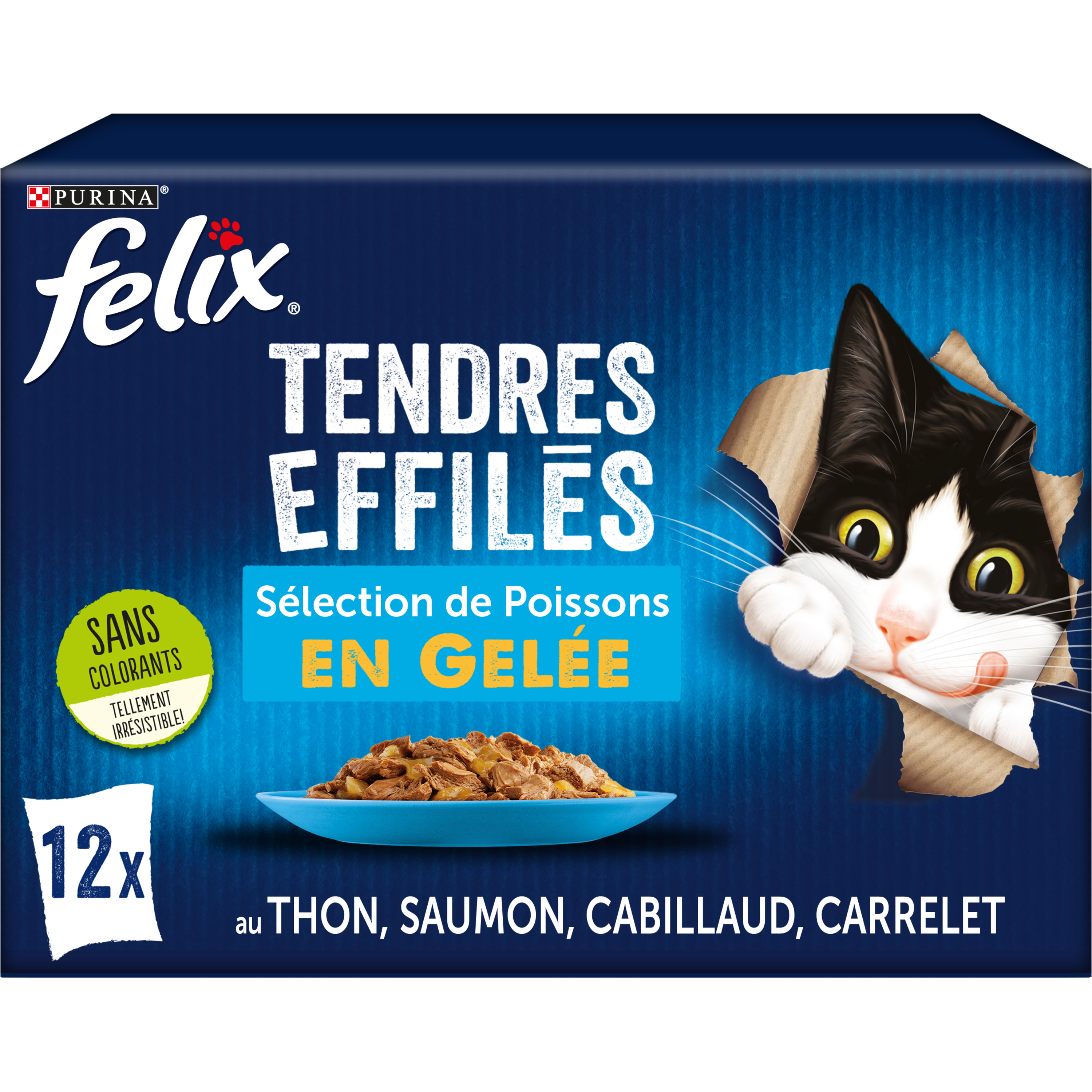 FELIX Tendres Effilés en Gelée Viandes-Poissons - 44 x 85 g - Sachets  fraîcheur pour chat adulte - Cdiscount