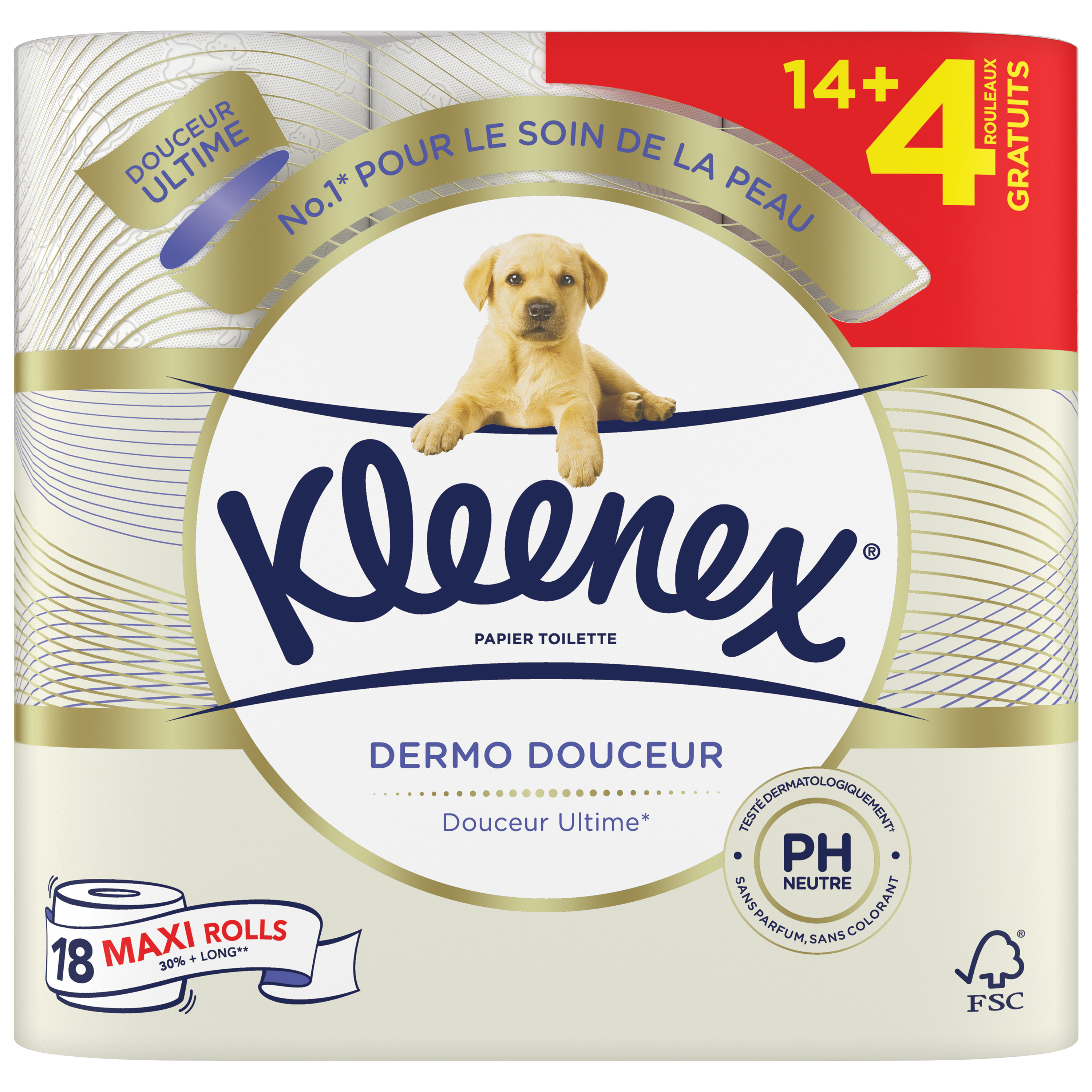 Kleenex Papier toilette Premium Standard quadruple épaisseur - Rouleau de  160 feuilles - Blanc - Carton de 24 rouleaux - Papiers Toilettefavorable à  acheter dans notre magasin