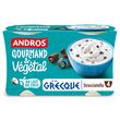 ANDROS Gourmand & Végétal - Dessert à la grecque au lait de coco stracciatella 4x115g