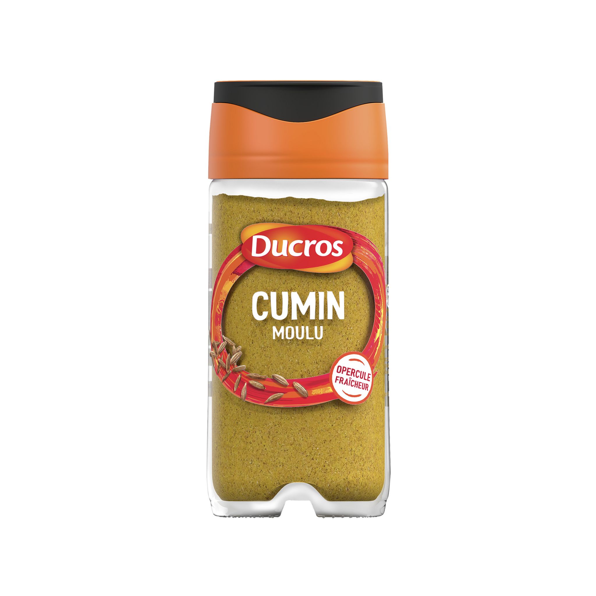 Cumin Poudre