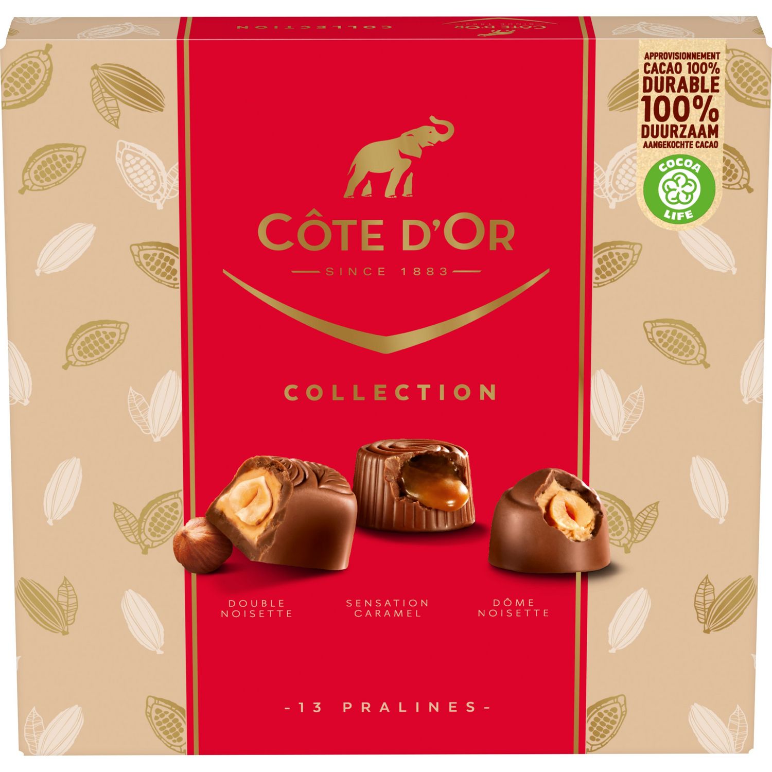 Coffret pralinés chocolat noir - 18 pièces