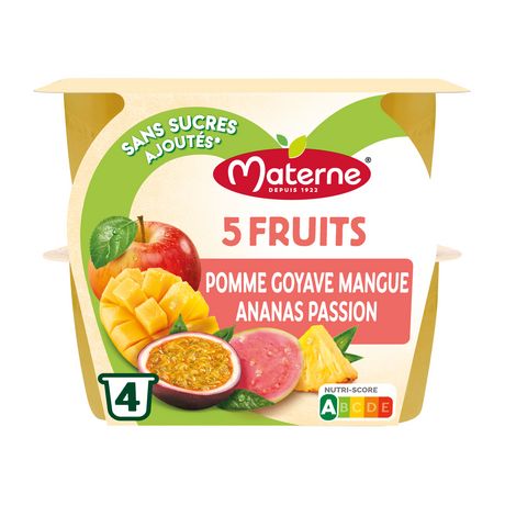 MATERNE Spécialité aux 5 fruits pomme goyave mangue ananas et passion sans  sucres ajoutés 4x100g pas cher 