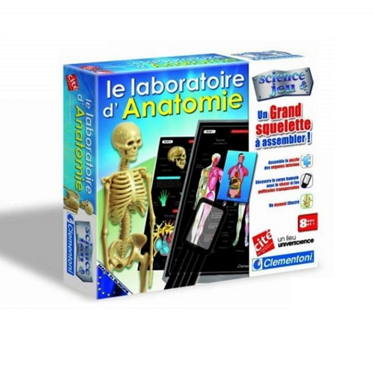 L'anatomie Clementoni