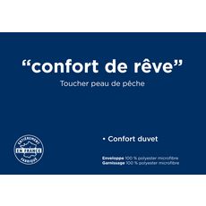Oreiller sensation duvet CONFORT DE REVE (Blanc)