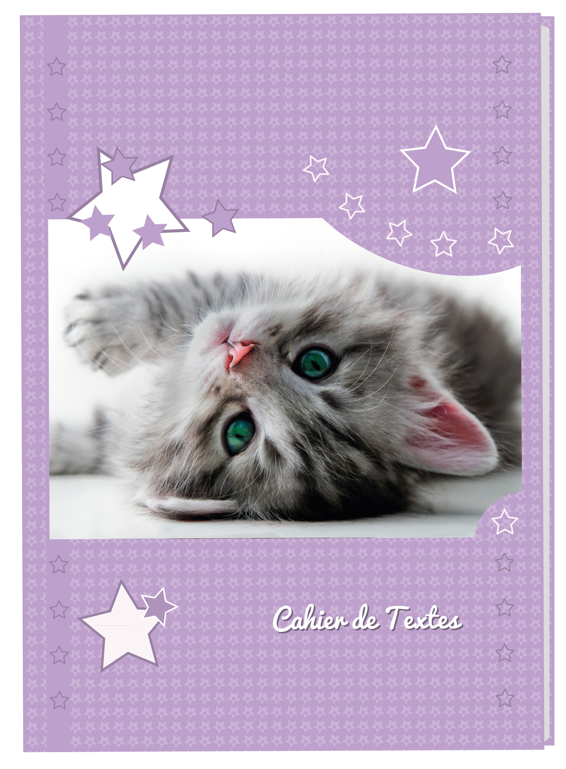 AUCHAN Cahier de texte fille 15,5x21,5cm 204 pages Chat violet pas cher 