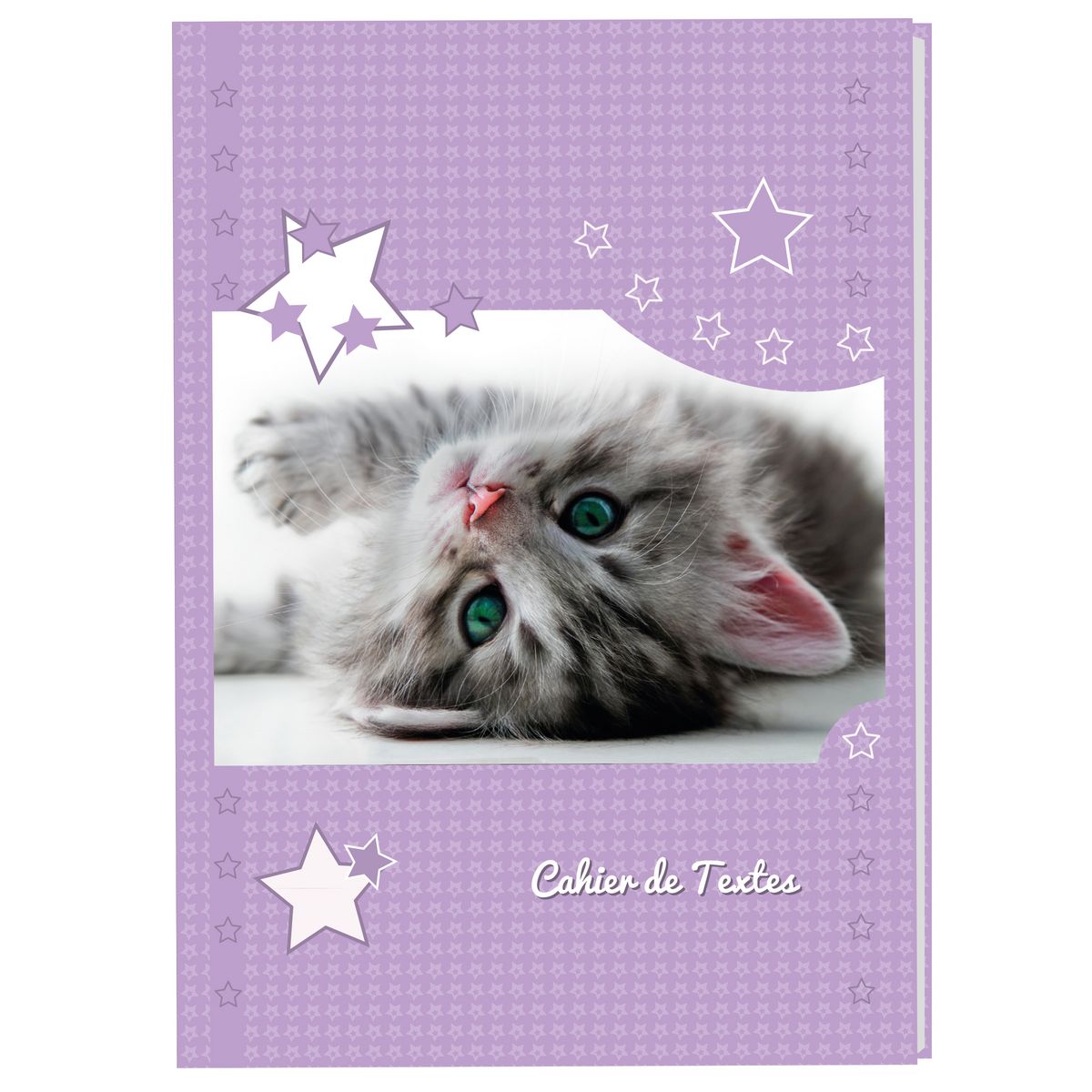 AUCHAN Cahier de texte fille 15,5x21,5cm 204 pages Chat violet pas cher 