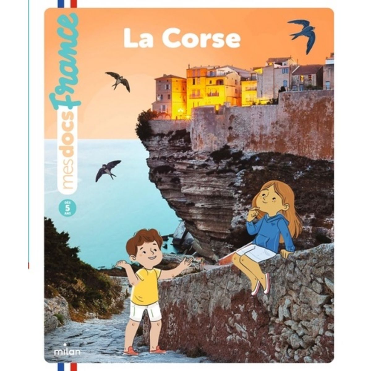 auchan voyage corse