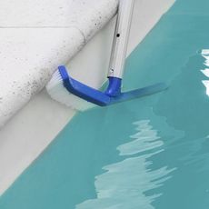 Tête de brosse paroi 45 cm bleu pour piscine adaptable sur manche standard ou télescopique