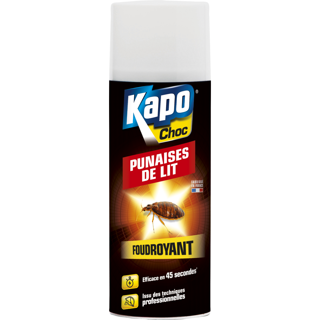 Aérosol anti punaises de lit Kapo 400 mL