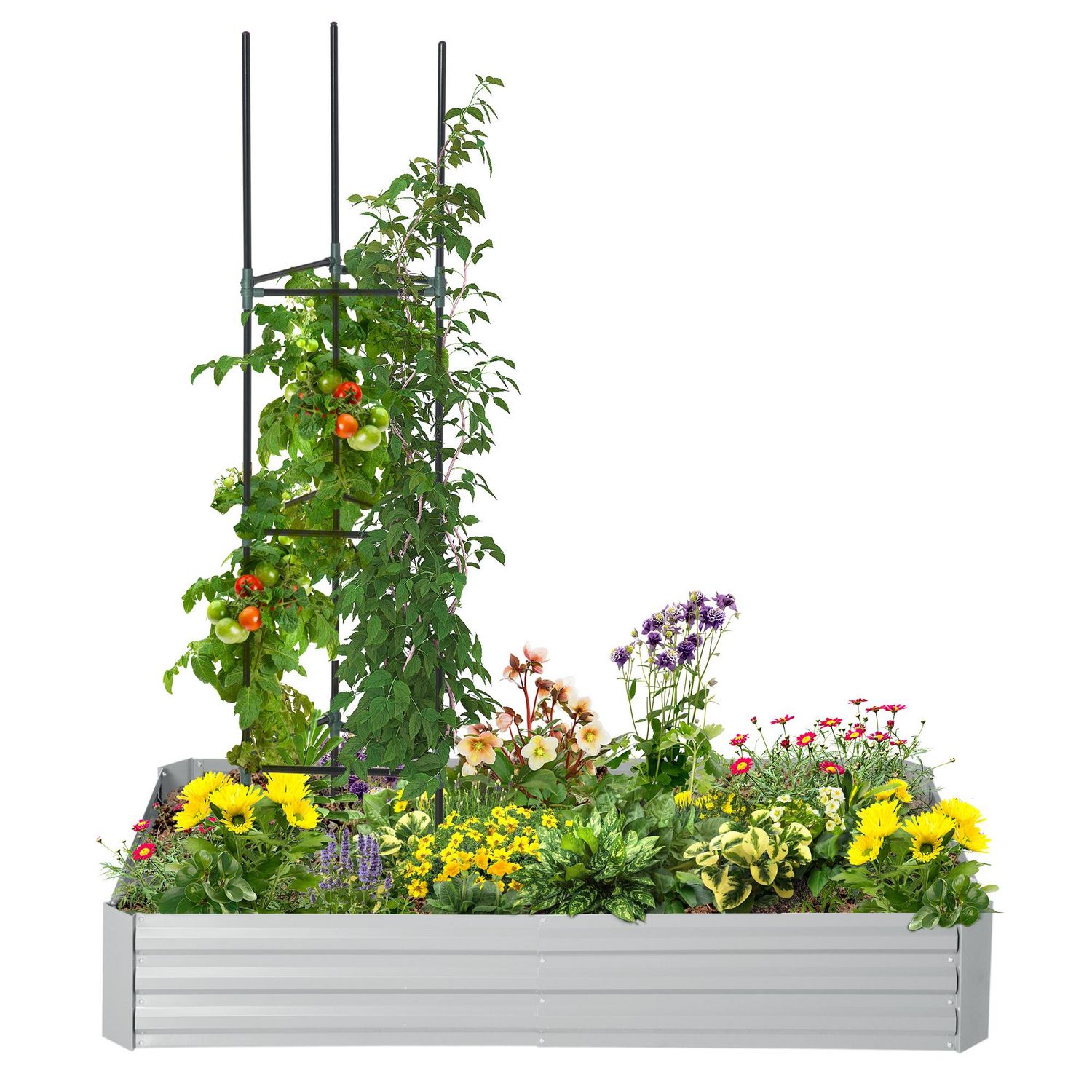 Outsunny Lot de 2 carré Potager de Jardin dim. 100L x 50l x 30H cm