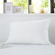 Sweetnight Lot de 2 protèges oreillers imperméable lavable à 90°c QUALITE PLUS. Coloris disponibles : Blanc