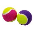 Lot de 2 Balles de Tennis  Chien  4cm Multicolore