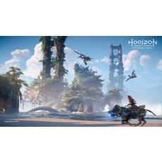 SONY Horizon Forbidden West PS4