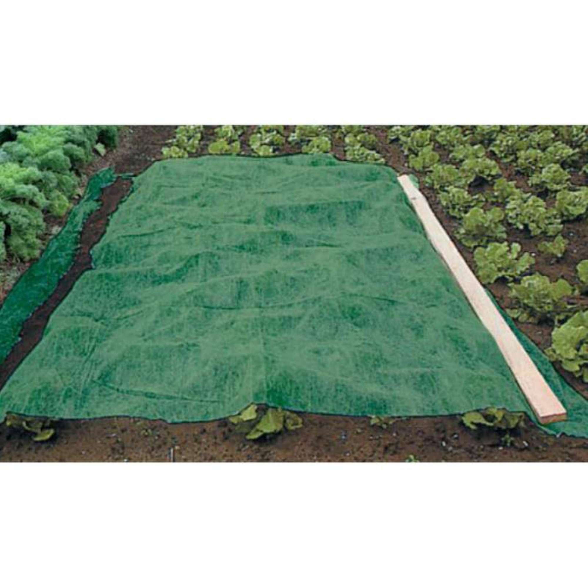 GARDENSTAR Voile d'hivernage en polypropylène noire- 10m, 20gr/m² pas cher  