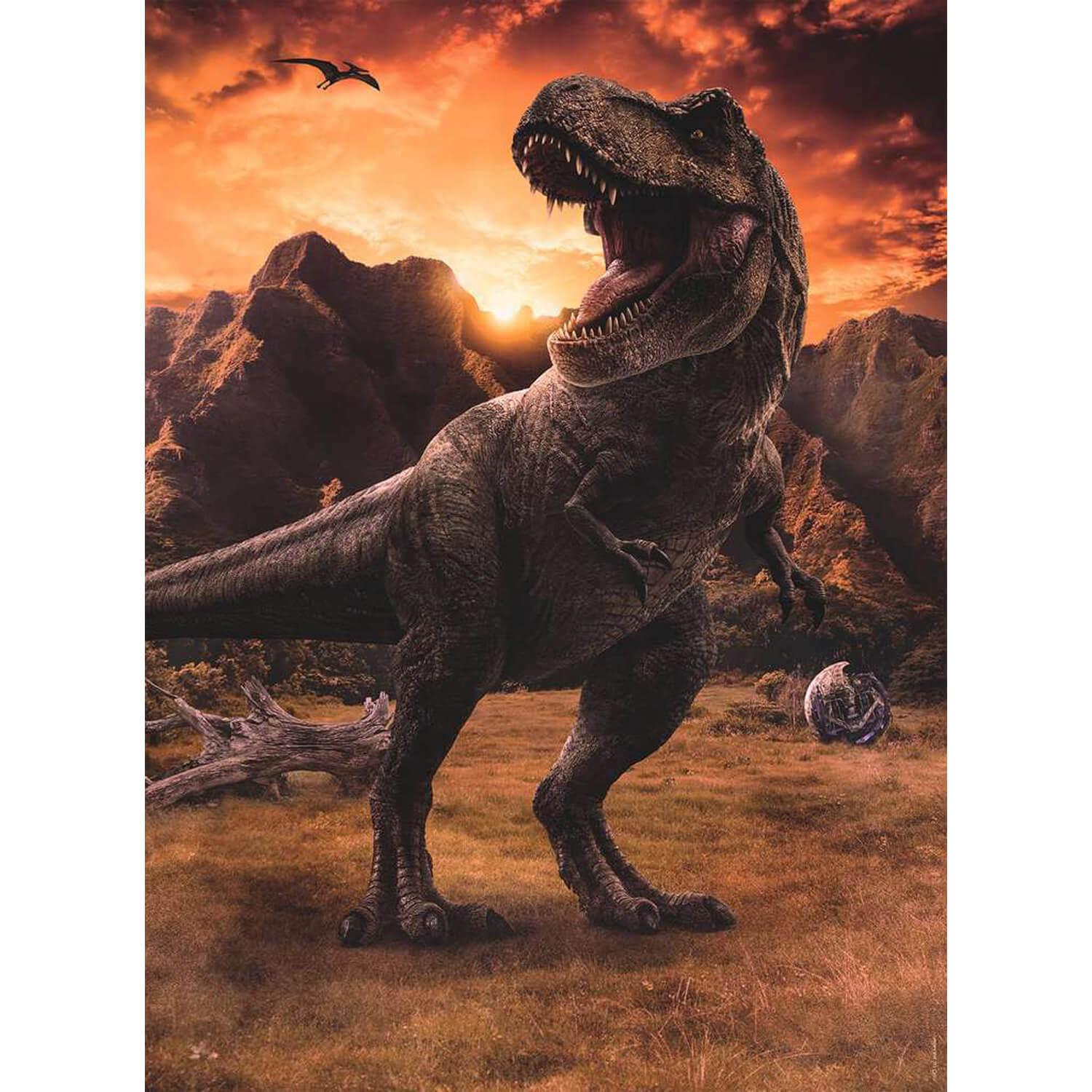 Jurassic World 3 Age Minimum Nathan Puzzle 250 pièces : Jurassic World 3 : Le Tyrannosaurus Rex pas cher  - Auchan.fr