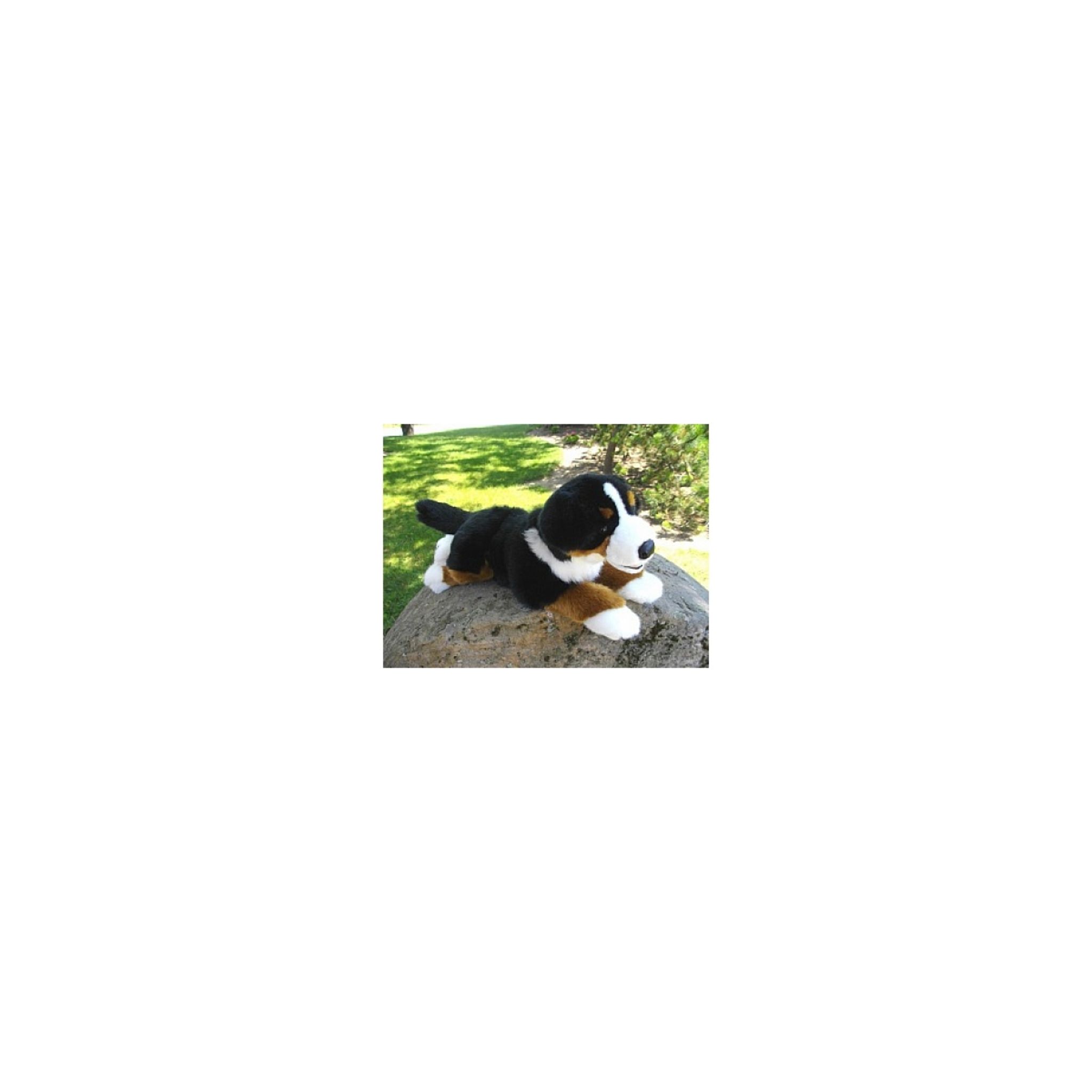Peluche Anima bouvier bernois 42cm - Animal en peluche - à la Fnac