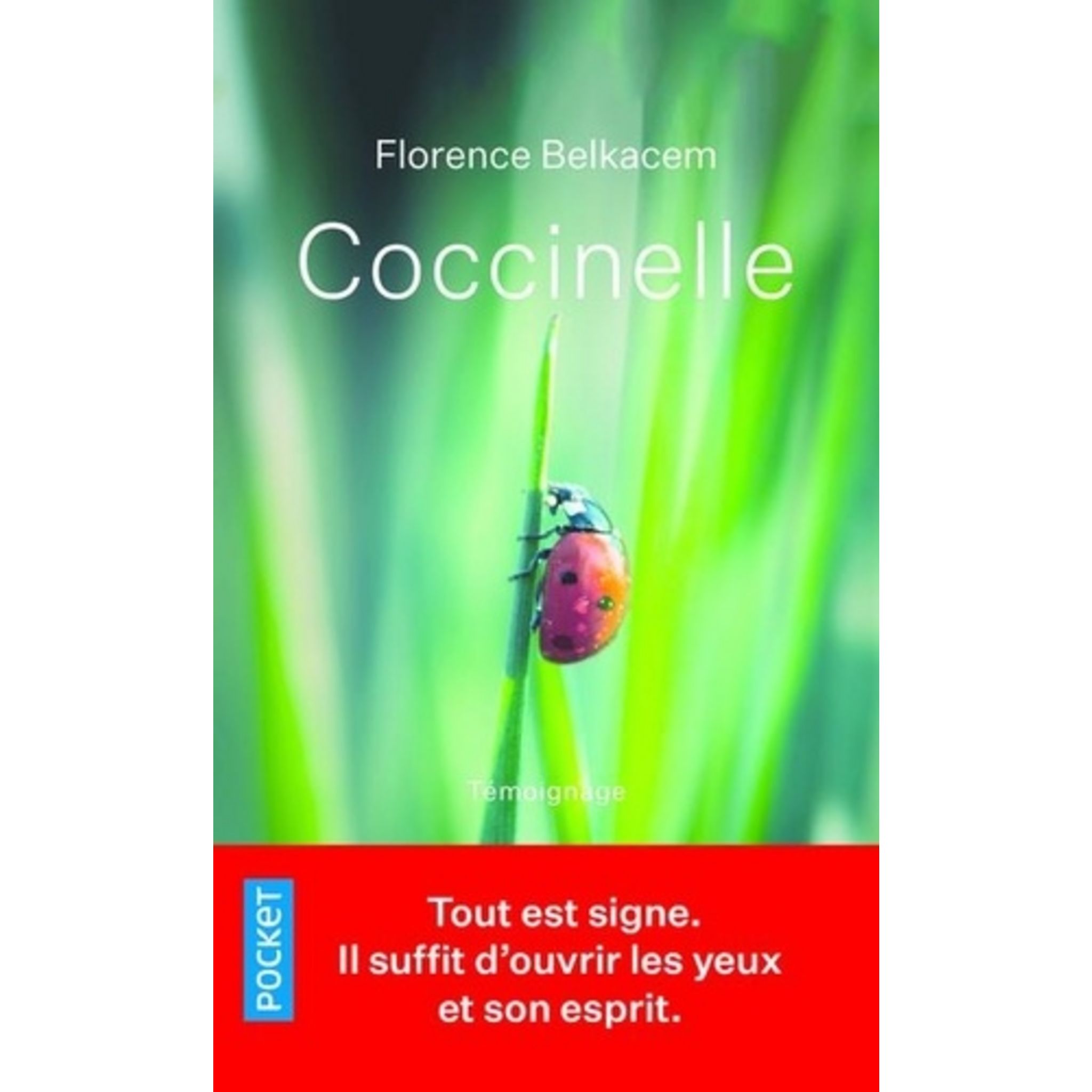 COCCINELLE Belkacem Florence pas cher Auchan.fr