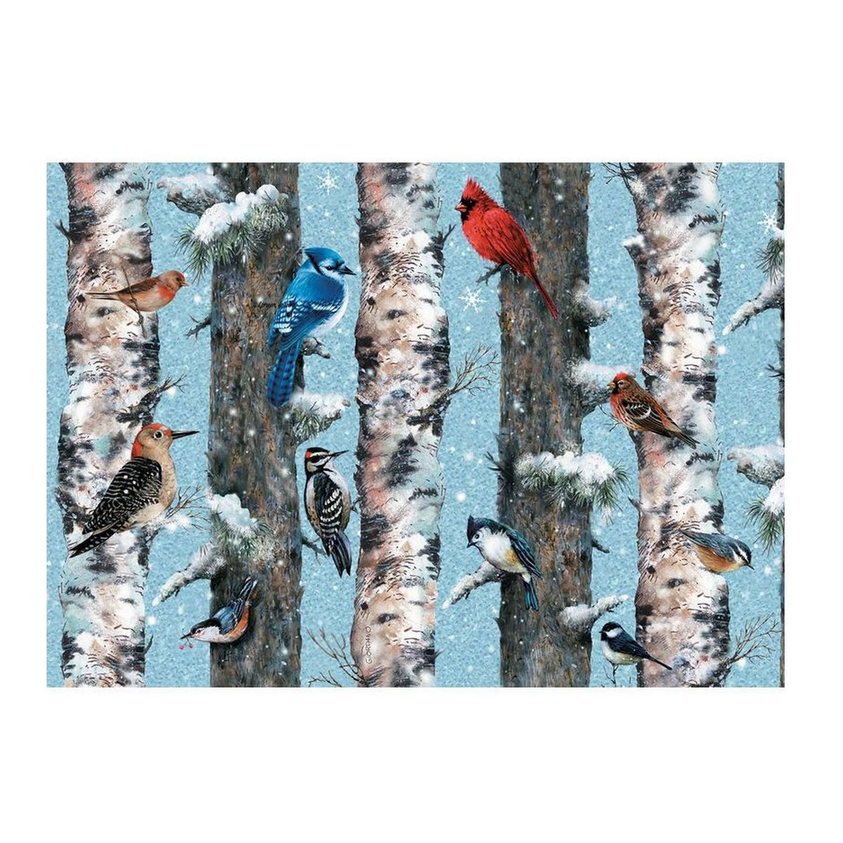 Piatnik Puzzle 1000 pièces : oiseaux d'hiver