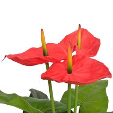 Plante artificielle avec pot Anthurium 90 cm Rouge et Jaune