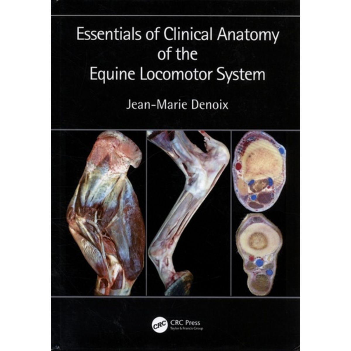  ESSENTIALS OF CLINICAL ANATOMY OF THE EQUINE LOCOMOTOR SYSTEM. EDITION EN ANGLAIS, Denoix Jean-Marie