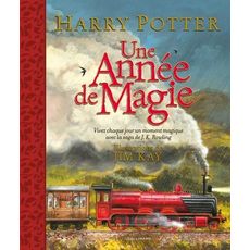  HARRY POTTER : UNE ANNEE DE MAGIE, Rowling J.K.