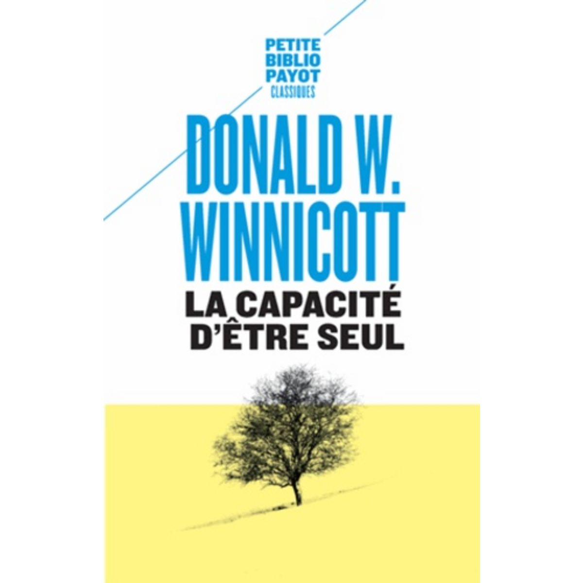  LA CAPACITE D'ETRE SEUL, Winnicott Donald