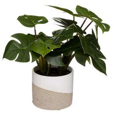 Plante Artificielle en Pot  Monstera  30cm Vert