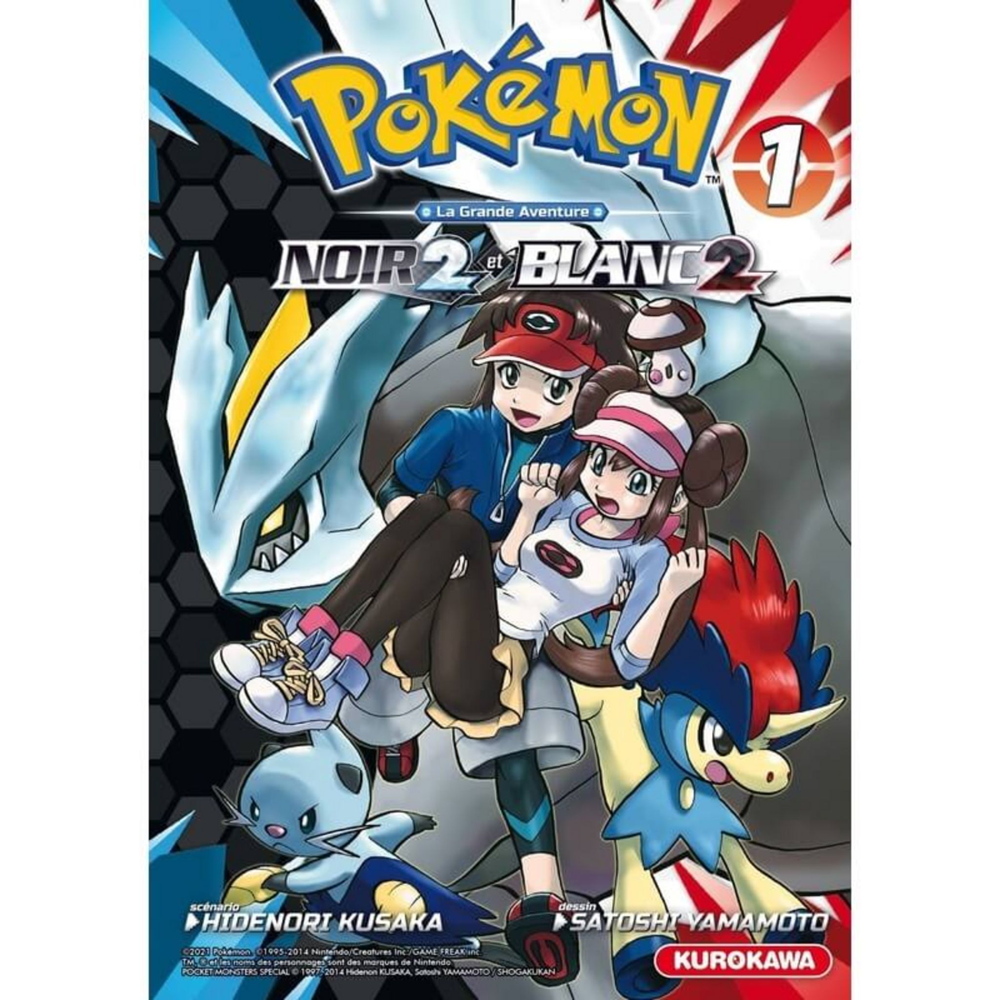 Interforum POKEMON NOIR 2 ET BLANC 2 T01 pas cher Auchan.fr