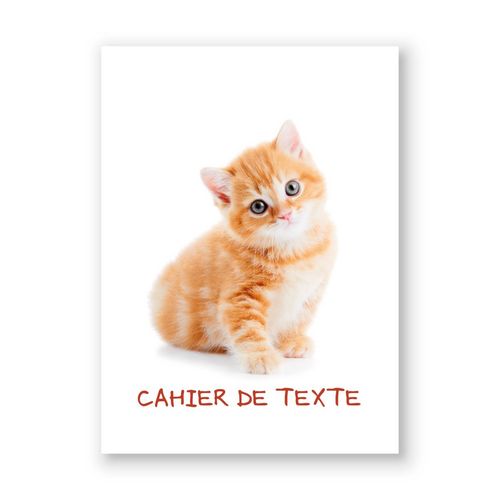 Cahier de texte carton 14,8x21cm chaton tigré blanc et rose