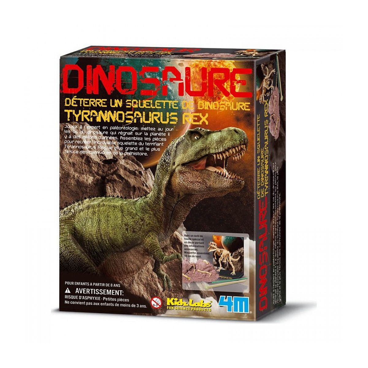 Graine créative Deterre ton dinosaure Tyrannosaurus Rex