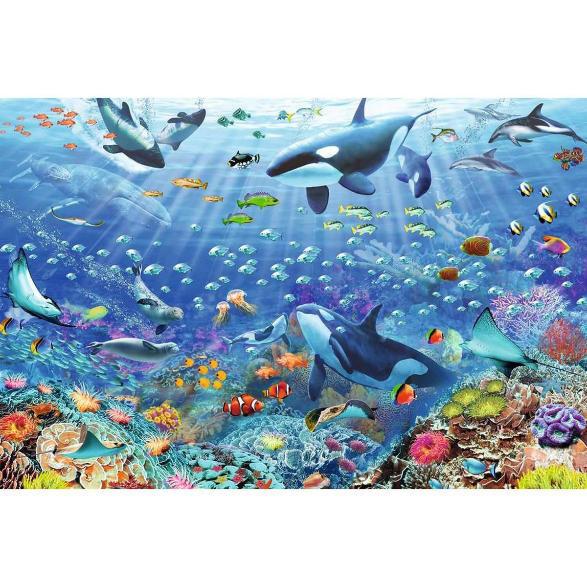 Puzzle 1000 pièces : Le monde sous-marin bleu - Ravensburger - Rue des  Puzzles