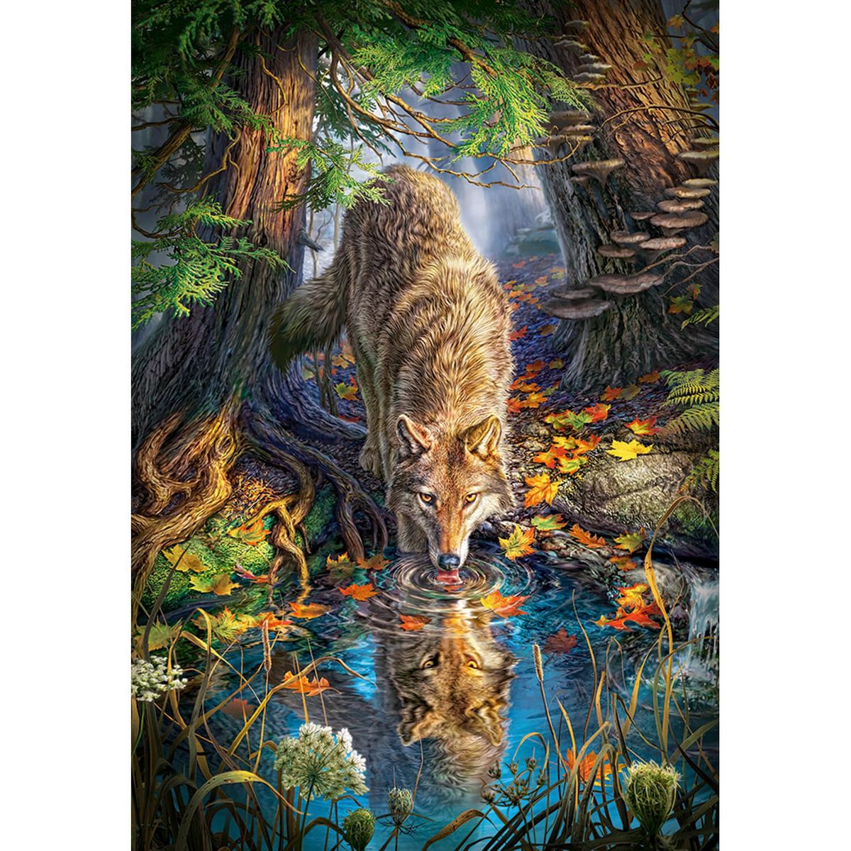 Castorland Puzzle 1500 pièces : Loup dans la nature