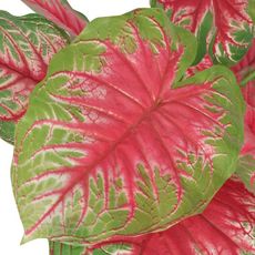 VIDAXL Plante artificielle avec pot Caladium 70 cm Vert et Rouge