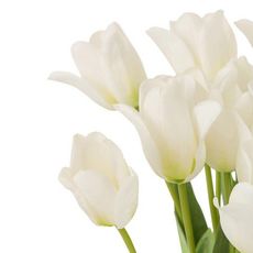 Paris Prix Bouquet de Fleurs  Tulipes  65cm Blanc & Vert