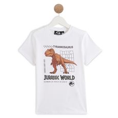 JURASSIC PARK T-shirt manches courtes dinosaure garçon (Blanc)