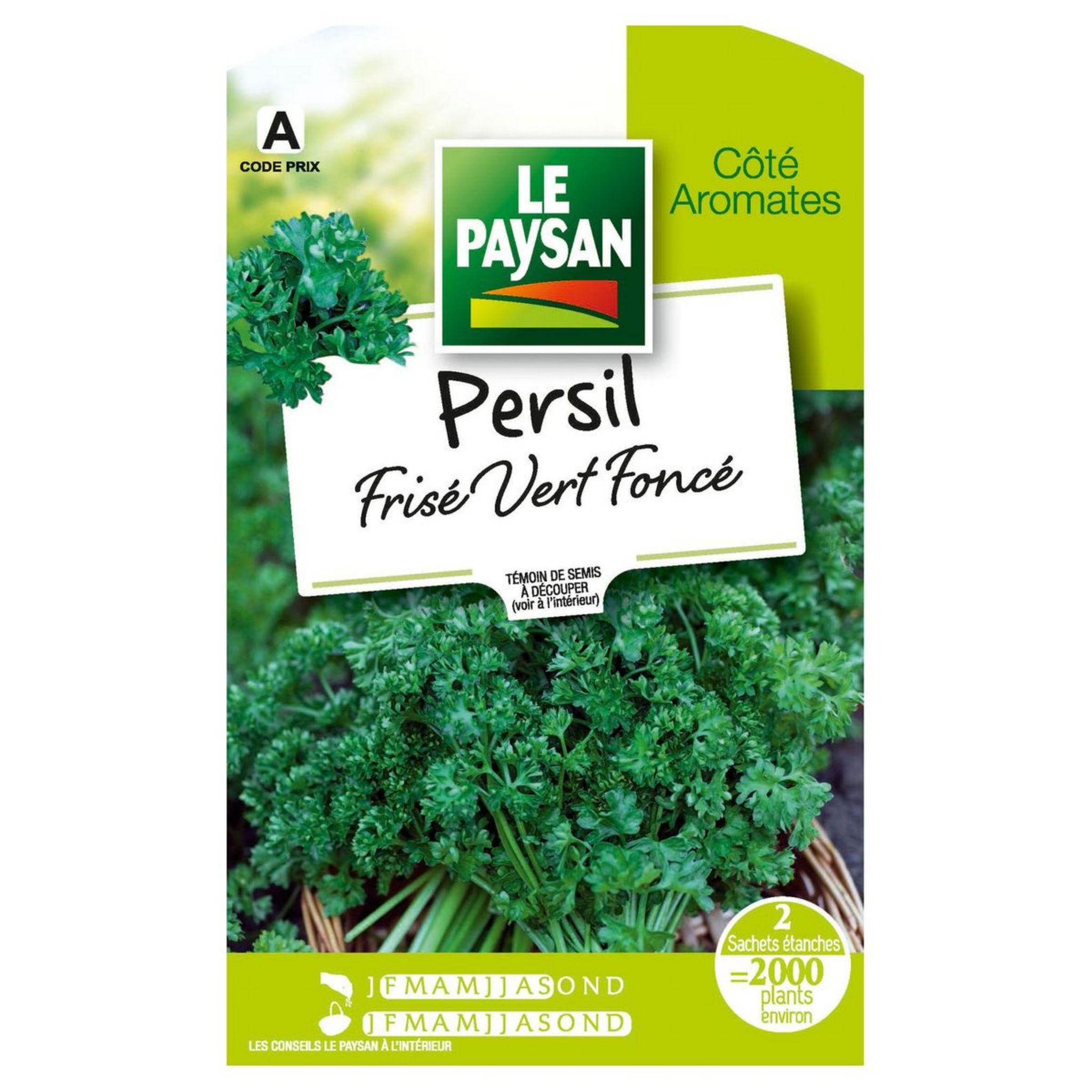 Persil : plantation, entretien - Côté Maison