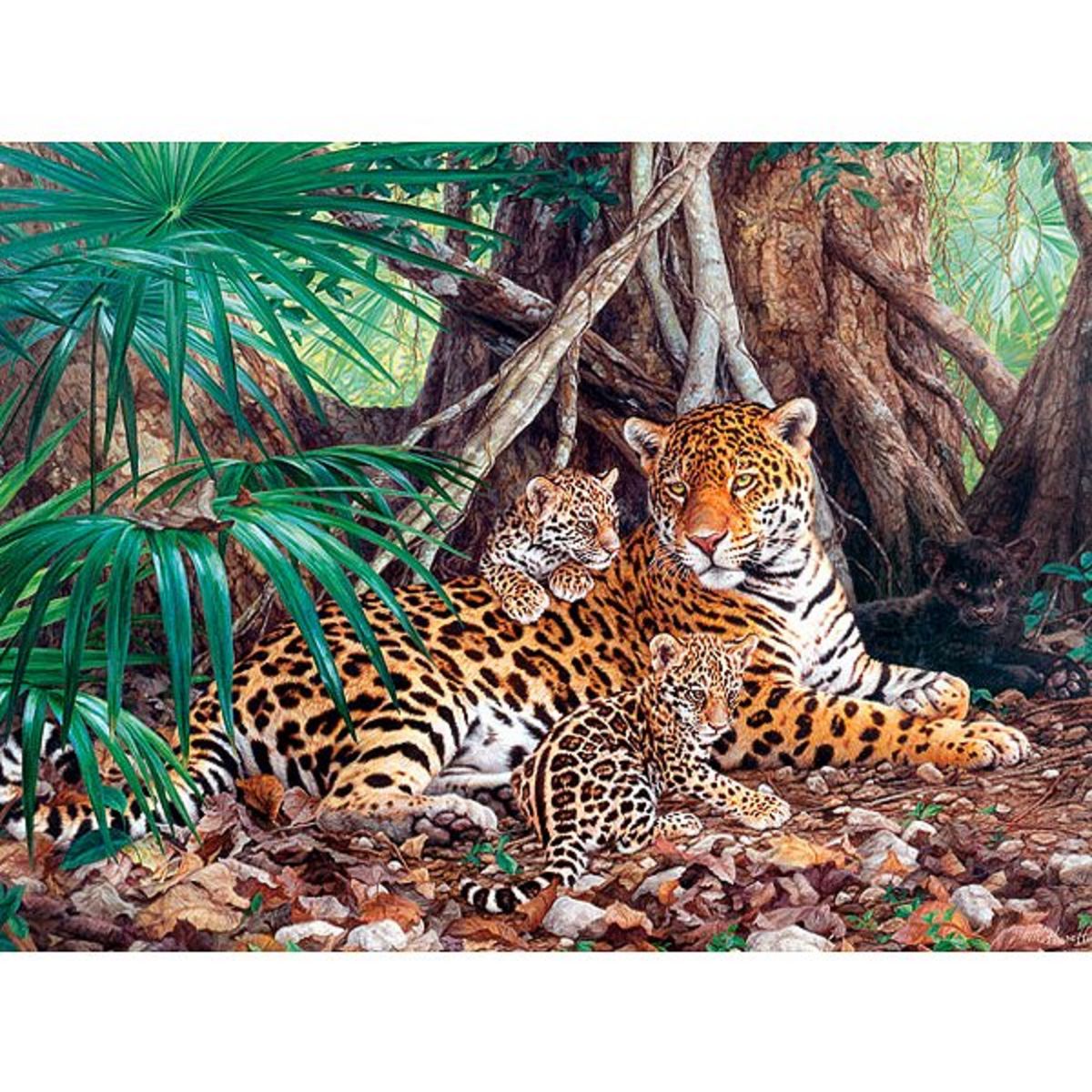 Castorland Puzzle 3000 pièces - Jaguars dans la forêt