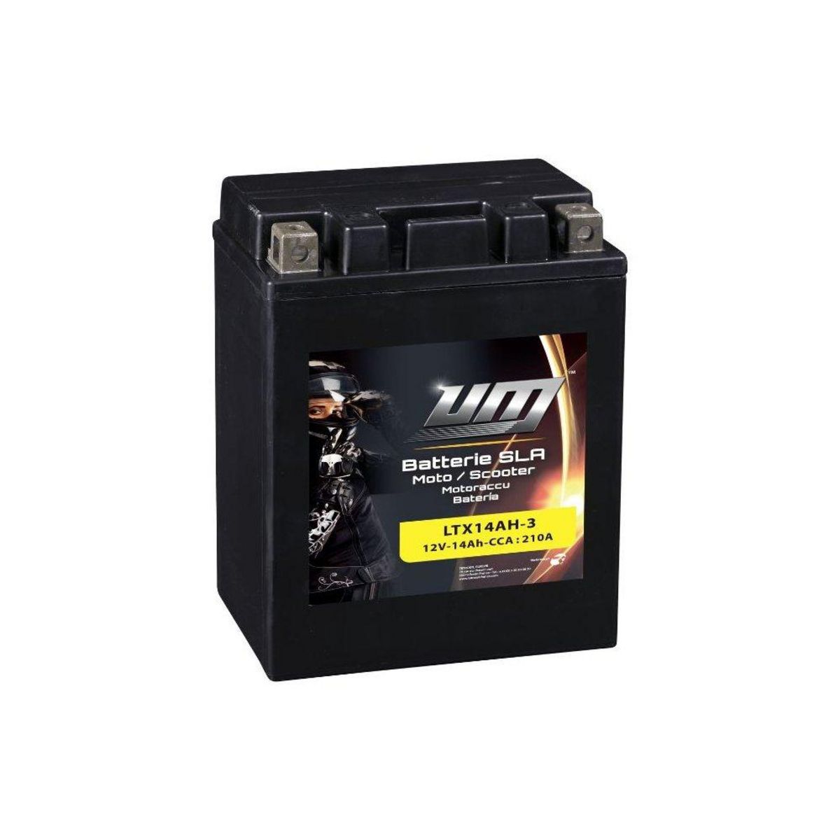 UM Batterie Moto / Scooter - LTX14AH-3 pas cher 