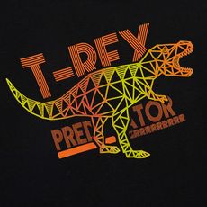 IN EXTENSO T-shirt manches longues dinosaure garçon (Noir)
