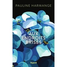  AUX ENDROITS BRISES, Harmange Pauline