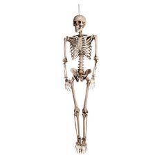Décoration Squelette 160 cm