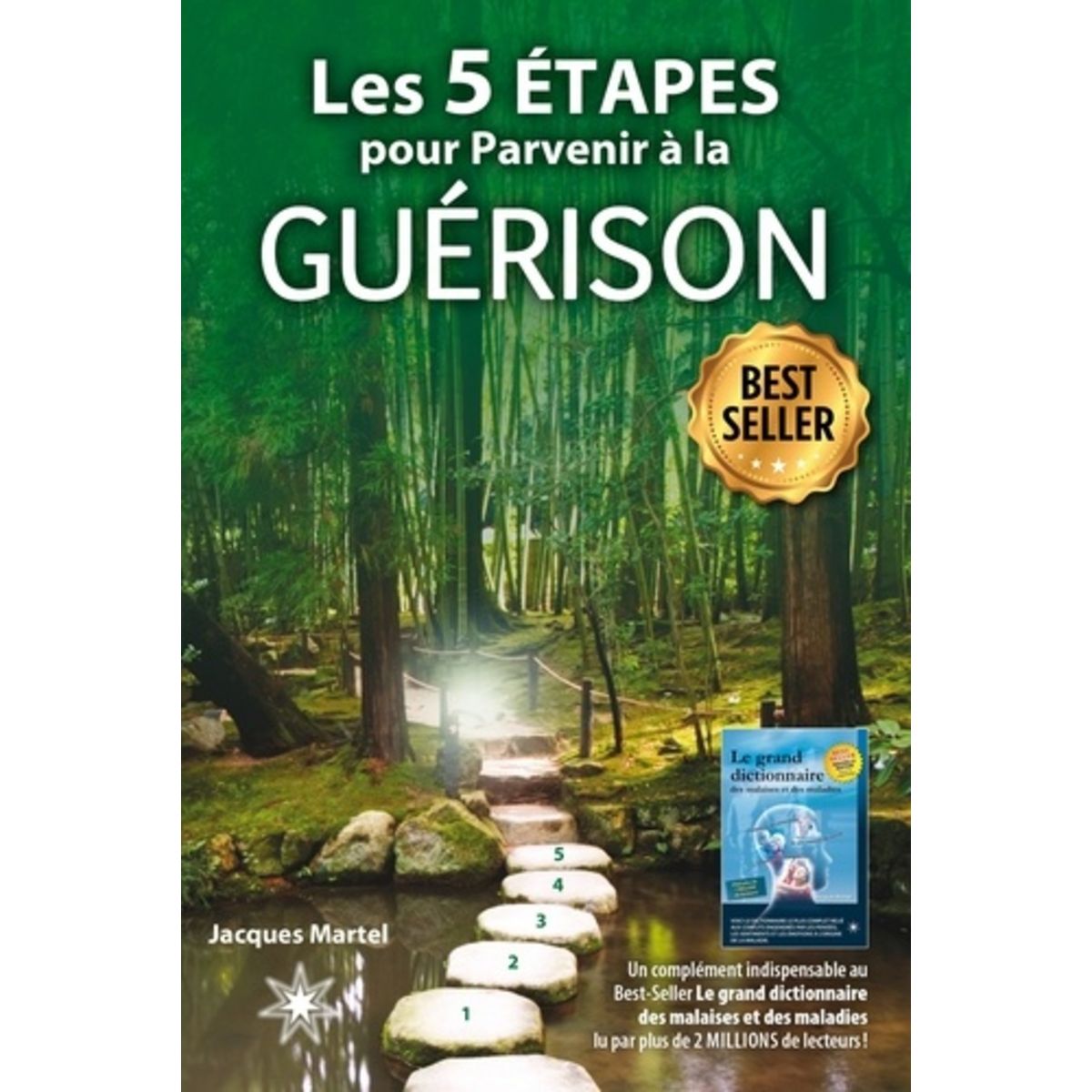 Le Grand Dictionnaire Des Malaises Et Des Maladies Pas Cher LES 5 ETAPES POUR PARVENIR A LA GUERISON, Martel Jacques pas cher -  Auchan.fr