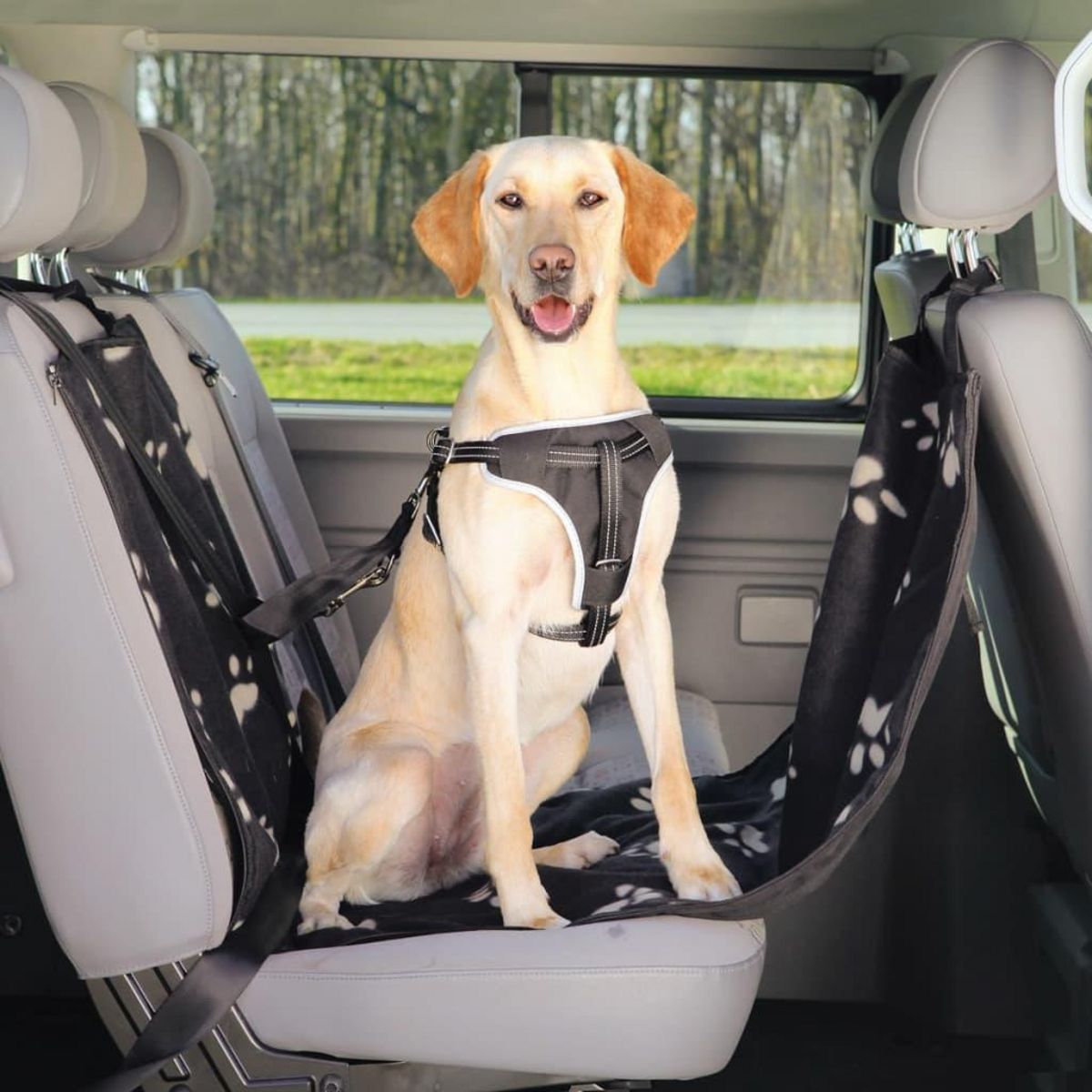 Trixie housse de siège auto pour chiens 160 x 145 cm noir TRIXIE
