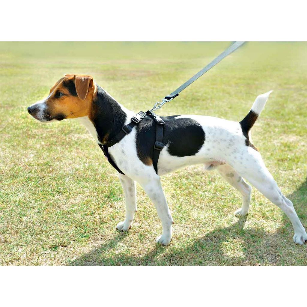Sunnymi réglable Bungee mémoire tampon pour chien Harnais de voiture Ceinture de sécurité élastique de sécurité Mène Tampon stretch Corde de sécurité 