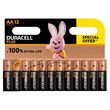 DURACELL Lot 12 piles Plus type AA 